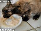 Test_sjtTSBmDJL