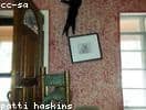 Test_mjGnrIbymY