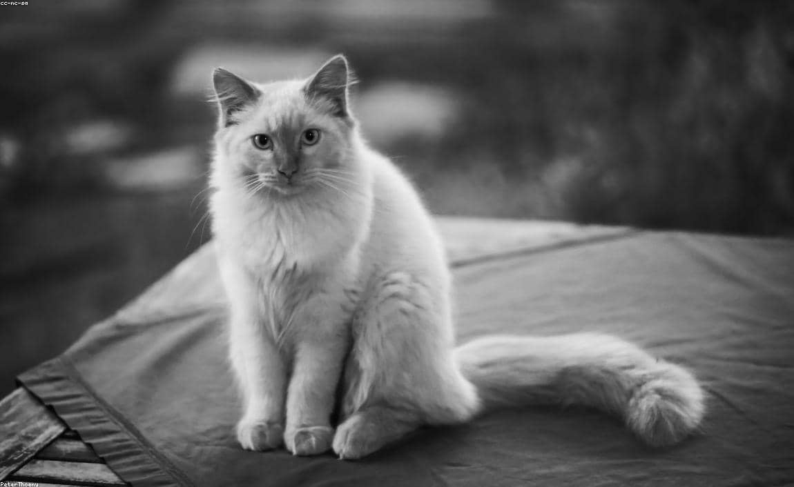 Test St8 for CI