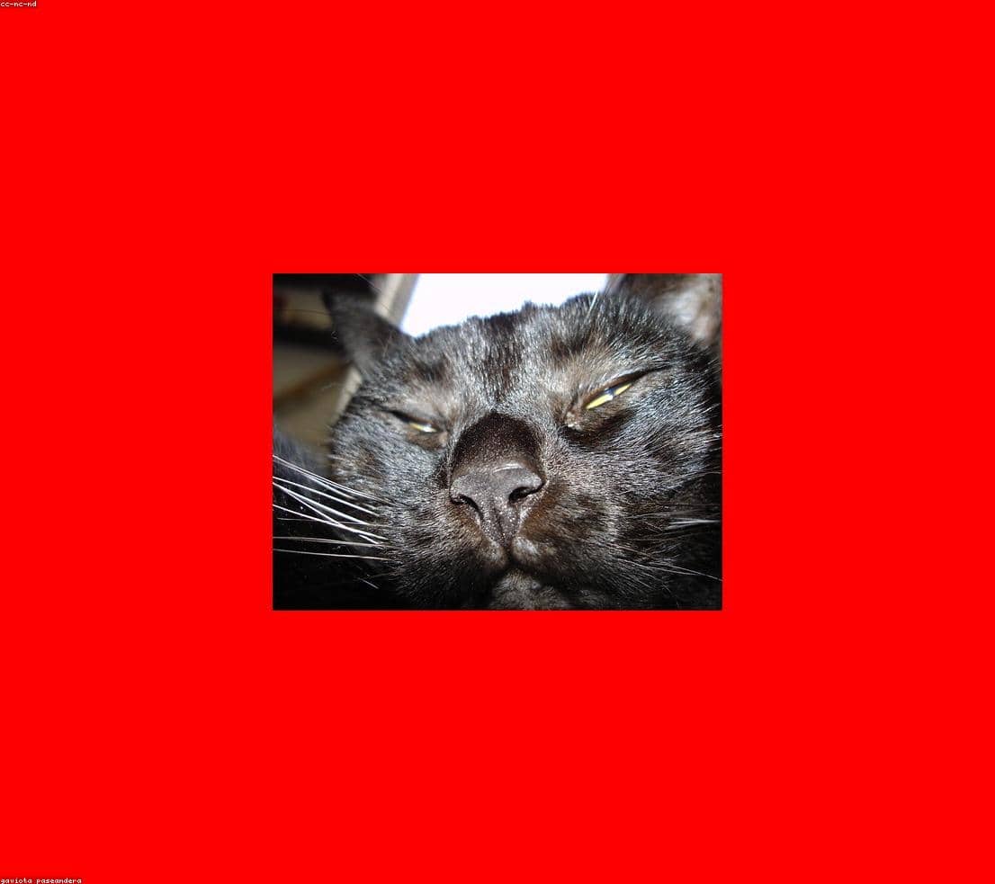 Test_dBaAmTNHeV
