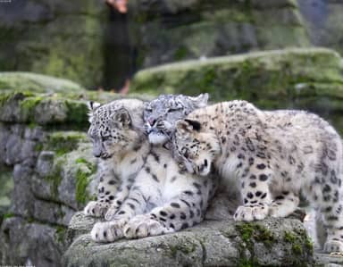 645134996_test_media_1281x1000.jpg